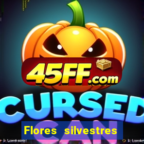 Flores silvestres brasileiras 25